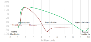 Prolonged Spike