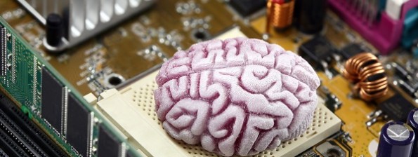 Brain Chip