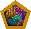 Brain Section Icon