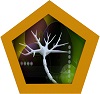 Neurons Section Icon