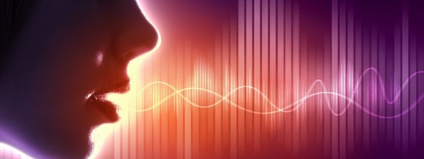 Speech Waves