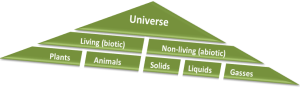 Universe Biotic Abiotic Taxonomy