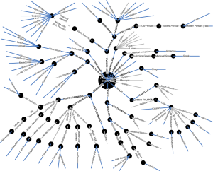 Languages Families Tree