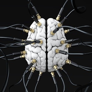 Wired Brain