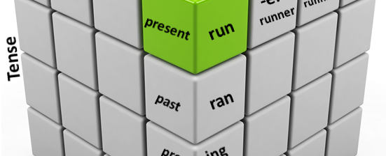 Syntax Morphology Tense