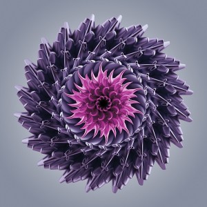 Fractal Flower