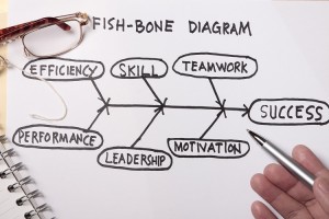 Fishbone Diagram